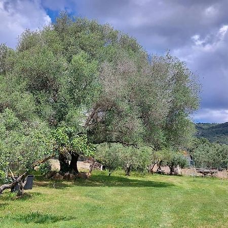Olbia Grazioso Bilo In Periferia Villa Sole Ruiu Bagian luar foto