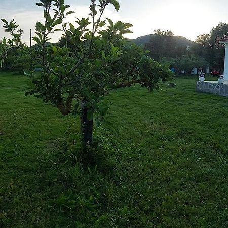 Olbia Grazioso Bilo In Periferia Villa Sole Ruiu Bagian luar foto