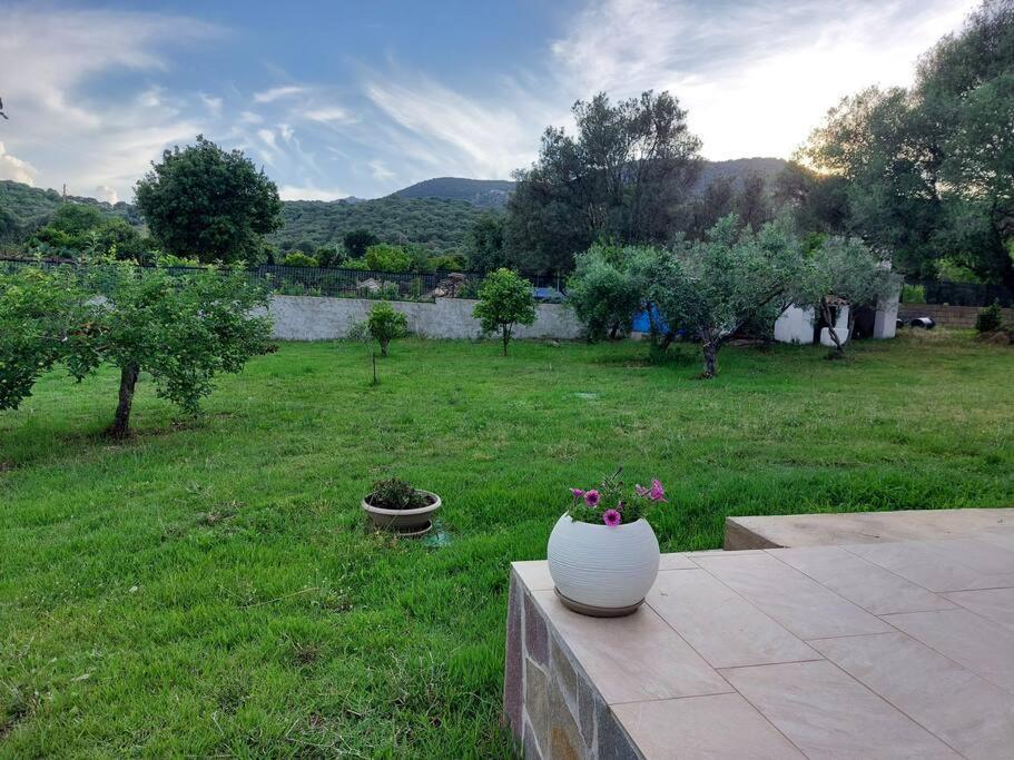 Olbia Grazioso Bilo In Periferia Villa Sole Ruiu Bagian luar foto
