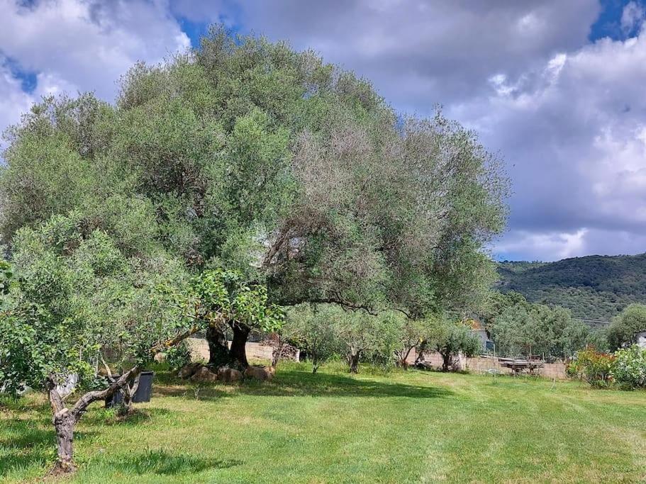 Olbia Grazioso Bilo In Periferia Villa Sole Ruiu Bagian luar foto